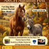 Join Us at ARCH Autumn Fest 2026 and Help Rescued Horses Get a Second Chance