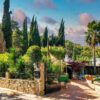Cascada Marbella: Garden Dining and Live Music